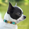 Pet Dog Accessories Adjustable Cute Puppy Collar